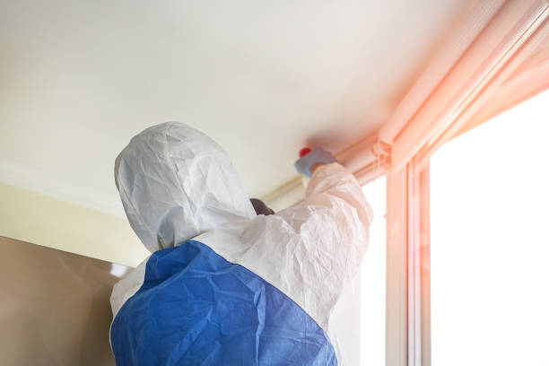 Reliable Westwood, CA Mold Removal & Remediation Solutions